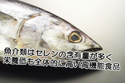 セレン含有量が多い代表的な食品である「魚介類」の一覧表