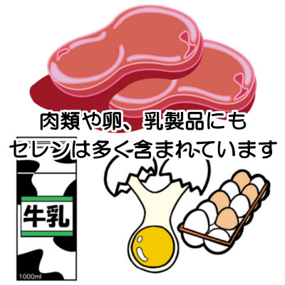 セレンは肉類の多くに含まれていますが食べ過ぎは健康に悪いので十分注意する