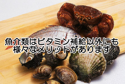 ビタミンb6を含む魚介類一覧表｜最も種類が豊富な食品群