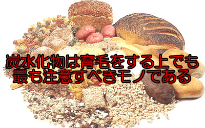 炭水化物は血糖値を上げる唯一の代物であり摂取のしすぎはほぼ確実に健康に悪影響を与え育毛的にもマイナスとなります