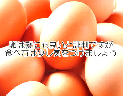 卵育毛的にも注目度が高い食べ物ですが動物性食品であり加熱調理をすることが多いので食べ過ぎに注意