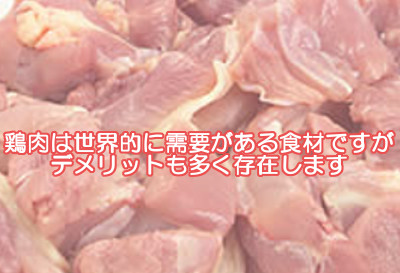 鶏肉は一般的に栄養価が高くヘルシーであると言われてますが体に悪いデメリット部分は全然語られていません