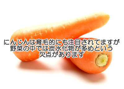 にんじんは栄養価は確かに高いですが炭水化物の含有量が野菜の中では高めなので摂り過ぎは髪(育毛)にマイナスとなりかねない。