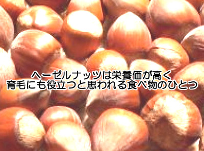 ヘーゼルナッツは血管の健康などに役立つ栄養素に特化している食べ物なので育毛にも役立つといえる