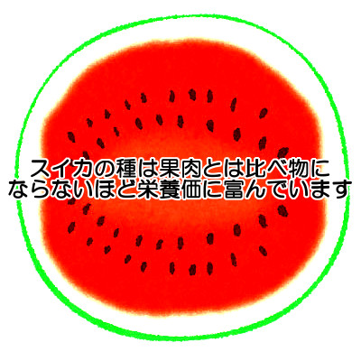 スイカの種は栄養価が豊富なナッツ類の一種であり育毛的にもよい食品といっていいと思います