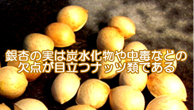 銀杏の実は中毒などの欠点が目立つので育毛にはあまり適さない？