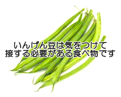 いんげん豆は栄養価が高いなどのメリットが多い一方で中毒を起こしやすいなどのデメリット面も強いので育毛食といえるかは微妙なところですが植物性食品という見逃せないポイントもあります