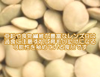 レンズ豆は古くから栄養価が高いと評価された食べ物のひとつであり食べ過ぎに気をつければ育毛の助けとなる可能性を秘めていると考えられる