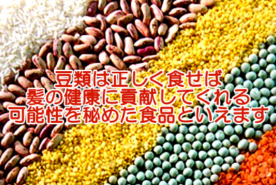 豆類は全般的に天然のサプリと言えるくらい栄養素が詰まっているので育毛のためになる食品と言っても過言ではないと思います