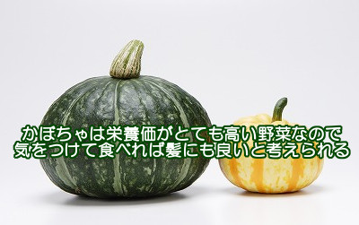 南瓜は栄養価がとても高い緑黄色野菜なので食べる量に注意すれば育毛的にも役立つ食べ物だと考えられます