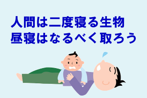 優れた効果を発揮する昼寝｜髪の為にも生活リズムを取り戻そう