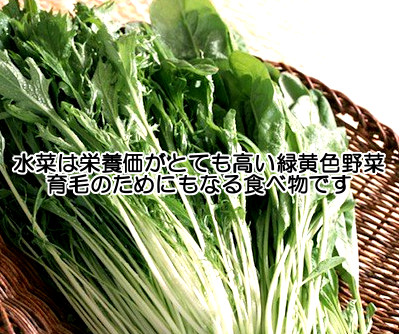 水菜は栄養価が高く食べやすい緑黄色野菜なので育毛体質を作り上げる上でも重要な食べ物のひとつといっても全く過言ではない