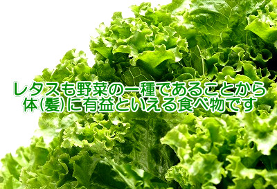 レタスも立派な野菜のひとつなので育毛のためにも食べて損はないものです