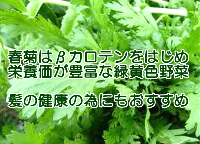 春菊は栄養価が高く体に余計な成分が全然含まれていないので育毛にも役立つ食べ物であるといえる