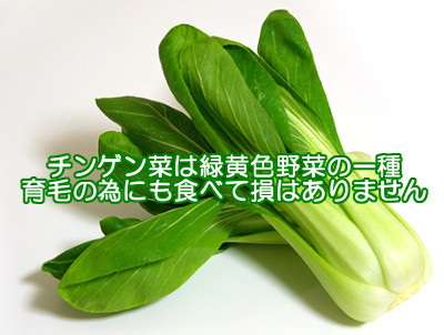 チンゲン菜は栄養素が豊富な緑黄色野菜なので髪の健康にも良い