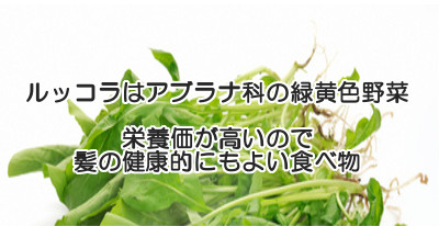 ルッコラは育毛の為に食べる価値がある栄養価の高い緑黄色野菜