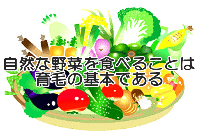 野菜は栄養豊富で消化に負担をかけない重要な食べ物なので育毛体質を作り上げる上で絶対的に必要となります