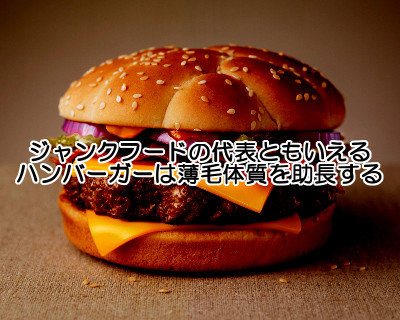 ハンバーガーではげる体質を構築｜最も食べやすいジャンクフード