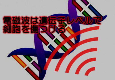 電磁波は細胞の働きを狂わせる働きがあることが証明されており様々な病の元凶といっても過言ではない　当然髪も細胞で出来ているので無関係とはいえない