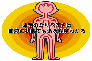 薄毛になりやすい人は貧血・血行不良・炎症体質の３つである