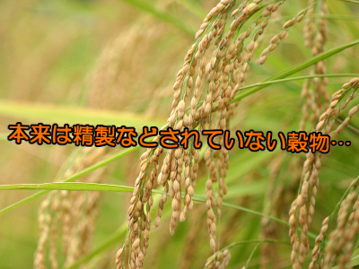 精白された穀類は体の健康上とても危険な代物です。血糖値を急上昇させ体の糖化を促進し育毛のブレーキともなります。