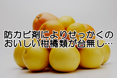 柑橘類に使用される防カビ剤は体に悪いものでありながら政治的圧力の影響で堂々と輸入されるようになってしまいました。