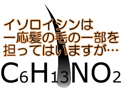 イソロイシンと育毛はにわかに関係があると囁かれることもありますが...