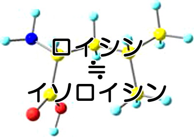 ロイシンとイソロイシンの違いはほぼなし　育毛の根拠も乏しい