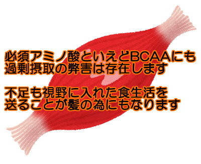 BCAAの過剰摂取や不足について｜間接的に髪にも悪い