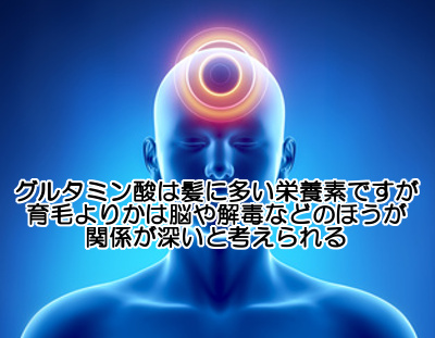 グルタミン酸と育毛の関係｜髪に多く含まれるが…