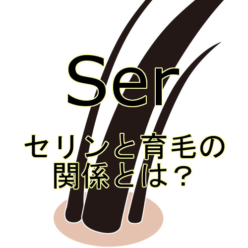 セリンと育毛の関係とは？髪の材料の多くを担うが…