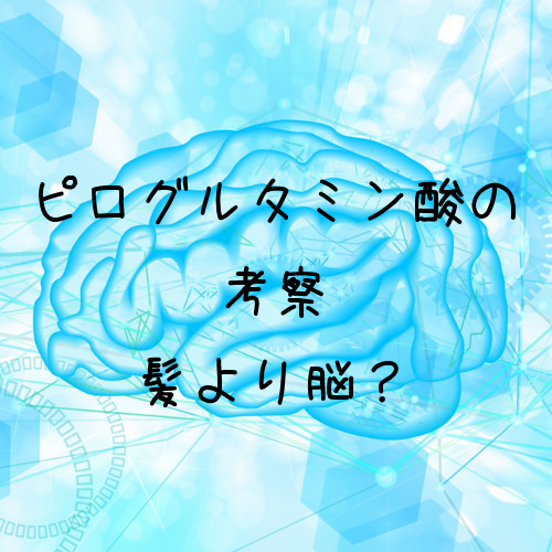 ピログルタミン酸は髪の毛より脳との関係が深そうなアミノ酸