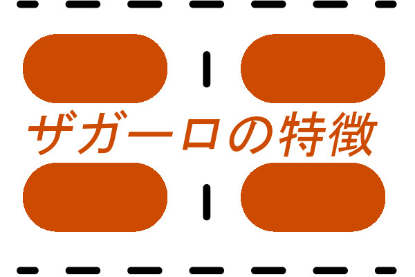 ザガーロの特徴について