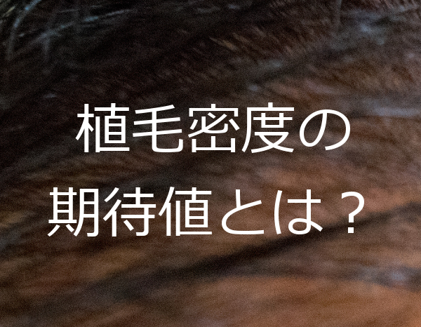 自毛植毛における仕上がり密度がどのくらい期待できるか