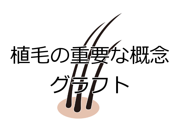 グラフトの基礎知識 植毛を正しく理解する為の大切なこと