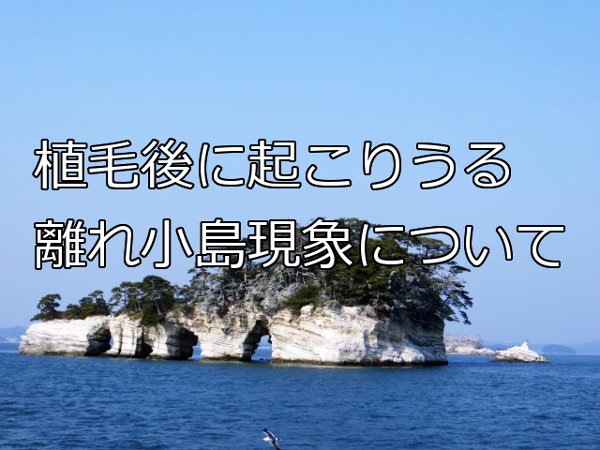 植毛後にAGAが進行したら？ドーナツ化や離れ小島の懸念