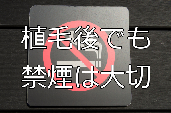 植毛手術後の喫煙についての考察 これをいい機会と考えよう